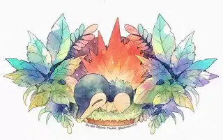 关都#155火鼠宝可梦，火球鼠(ヒノアラシ)插画图片